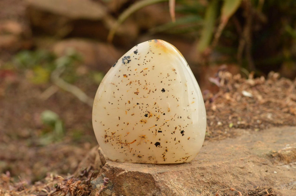 Polished Dendritic Agate Standing Free Forms  x 5 From Moralambo, Madagascar - TopRock