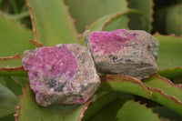 Natural Salrose Cobaltion Dolomite Specimens x 12 From Kakanda, Congo - Toprock Gemstones and Minerals 