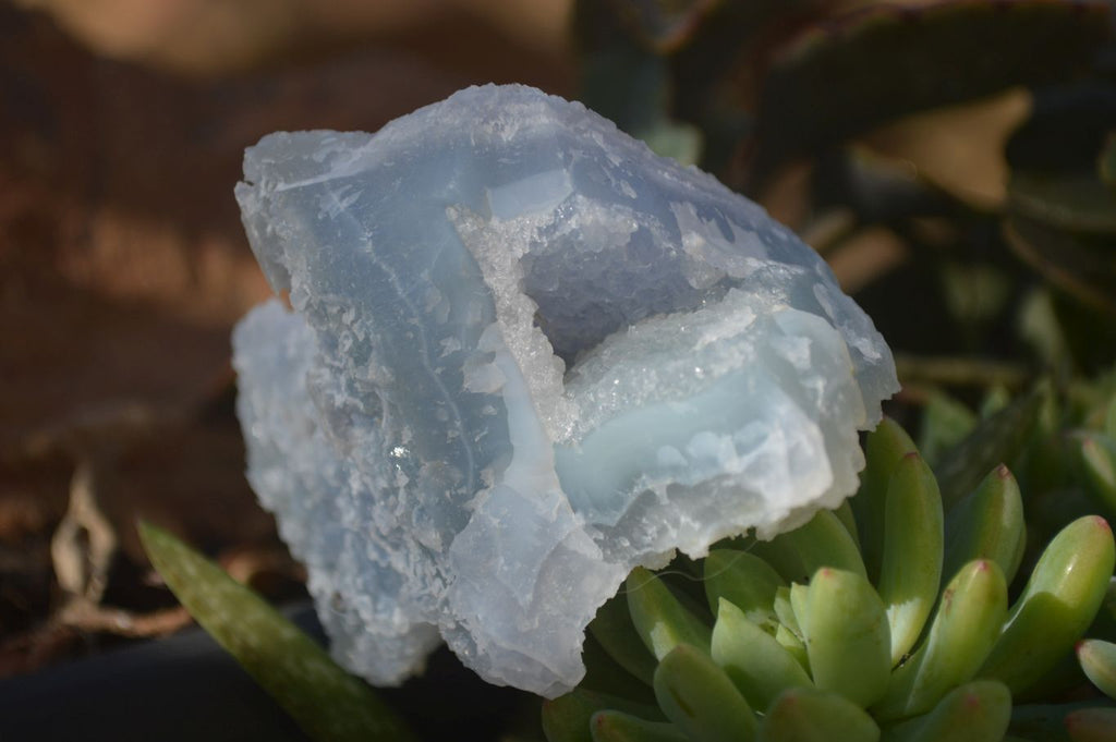 Natural Etched Blue Chalcedony Specimens  x 6 From Nsanje, Malawi - Toprock Gemstones and Minerals 