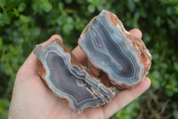 Polished Banded River Agate Nodules  x 6 From Zimbabwe - Toprock Gemstones and Minerals 
