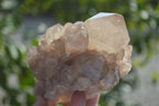 Natural Smokey Quartz Clusters x 4 From Luena, Congo - Toprock Gemstones and Minerals 
