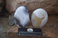 Polished Mixed Agate Standing Free Forms  x 6 From Madagascar