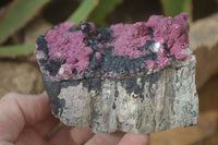 Natural Pink Salrose Cobaltion Dolomite Specimens  x 3 From Kakanda, Congo