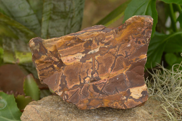 Natural Selected Nguni Jasper Specimens With Stunning Banding Patterns x 3 From Northern Cape, South Africa - TopRock