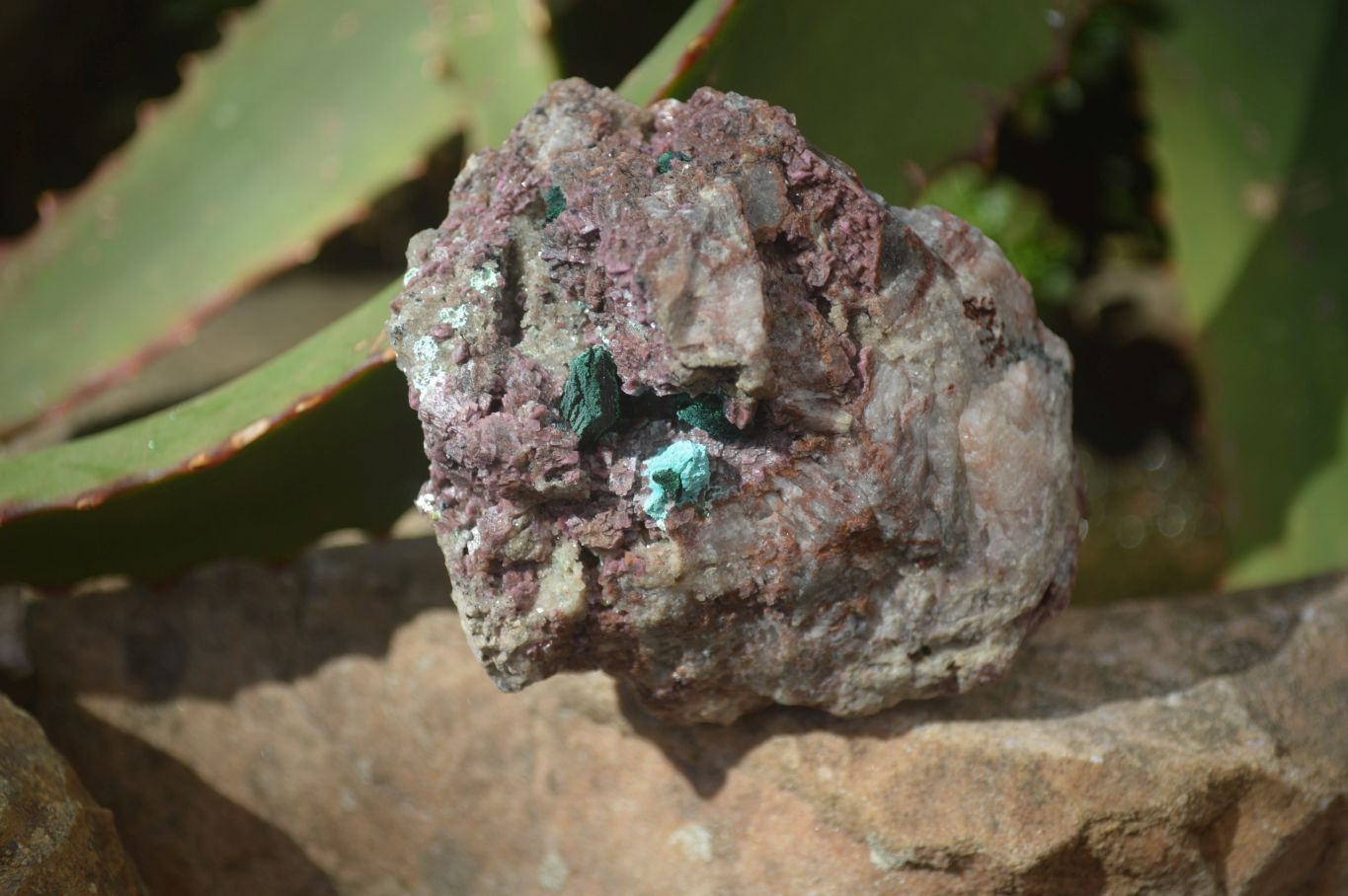 Natural Pink Salrose Cobaltion Dolomite Specimens  x 6 From Kakanda, Congo - Toprock Gemstones and Minerals 
