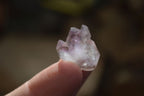 Natural Window Amethyst Crystals  x 70 From Chiredzi, Zimbabwe - Toprock Gemstones and Minerals 