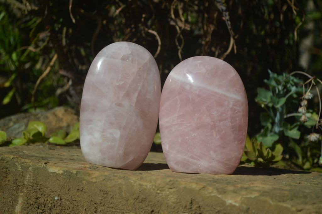 Polished Pink Rose Quartz Standing Free Forms x 2 From Antsirabe, Madagascar - Toprock Gemstones and Minerals 