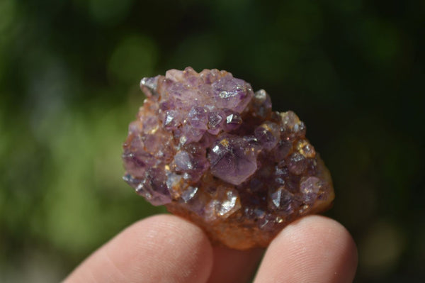 Natural Small Dark Amethyst Crystal Plates  x 70 From Mapatizya, Zambia - Toprock Gemstones and Minerals 