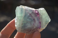 Polished  One Side Polished Watermelon Fluorite Pieces  x 12 From Uis, Namibia - Toprock Gemstones and Minerals 