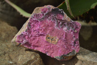 Natural Pink Salrose Cobaltion Dolomite Specimens x 6 From Kakanda, Congo - Toprock Gemstones and Minerals 