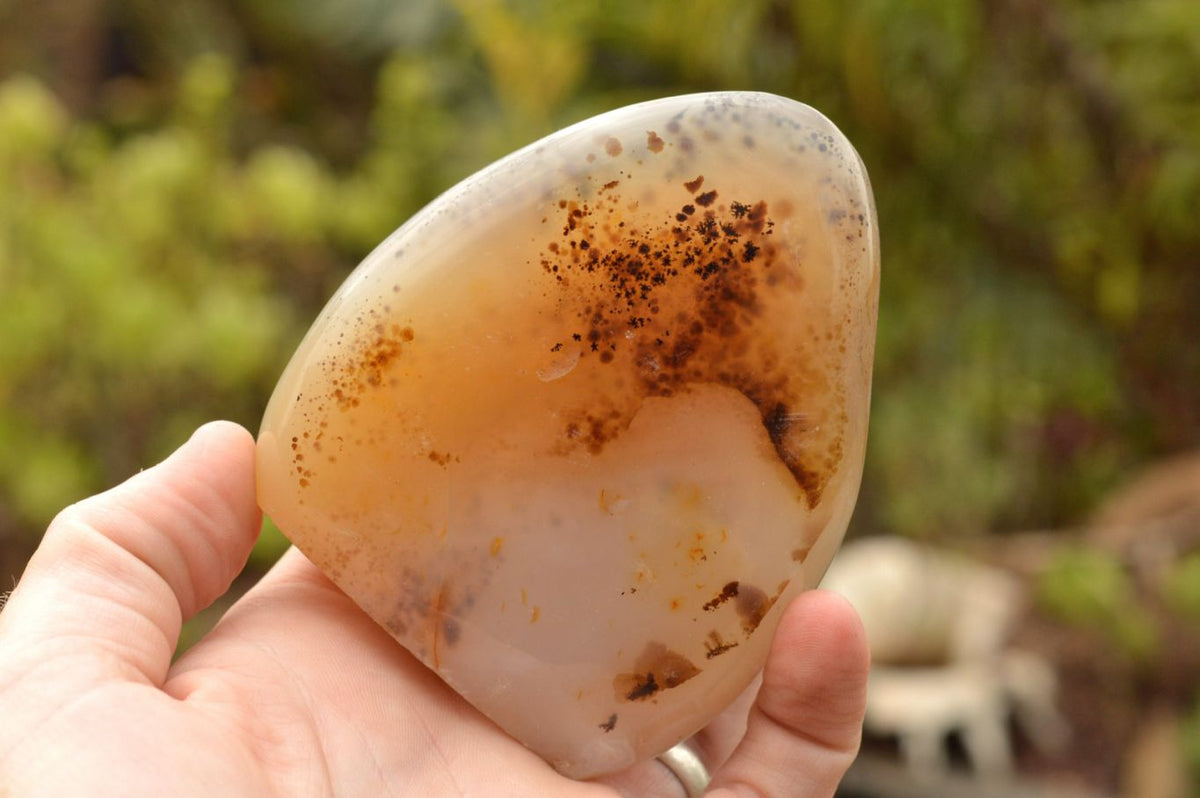 Polished Dendritic Agate Standing Free Forms  x 5 From Moralambo, Madagascar - TopRock