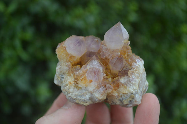 Natural Spirit Amethyst Quartz Clusters  x 6 From Boekenhouthoek, South Africa - Toprock Gemstones and Minerals 