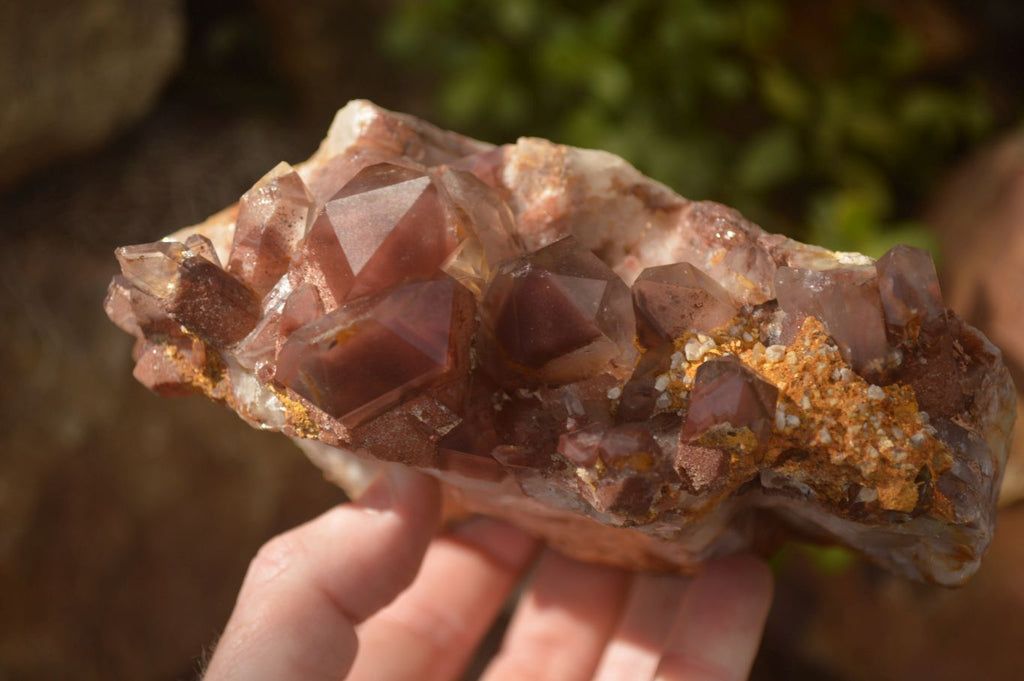 Natural Red Hematoid Phantom Quartz Specimens x 2 From Karoi, Zimbabwe - Toprock Gemstones and Minerals 