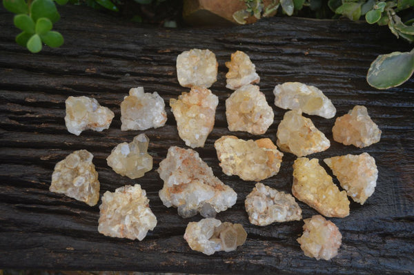 Natural Golden Limonite / Lemonite Quartz Clusters  x 22 From Solwezi, Zambia