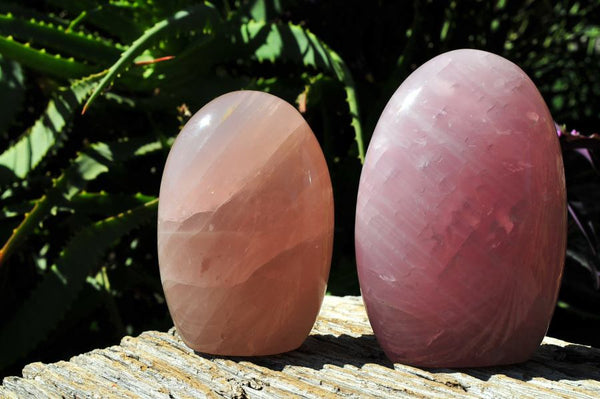 Polished Rose Quartz Standing Free Forms x 2 From Antsirabe, Madagascar - TopRock