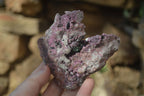 Natural Pink Salrose Cobaltion Dolomite Specimens  x 6 From Kakanda, Congo - Toprock Gemstones and Minerals 