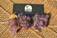 Natural Small Dark "Amethystos" Amethyst Clusters x 35 From Kwaggafontein, South Africa - TopRock