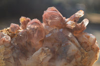 Natural Red Hematoid Phantom Quartz Specimens x 2 From Karoi, Zimbabwe - Toprock Gemstones and Minerals 