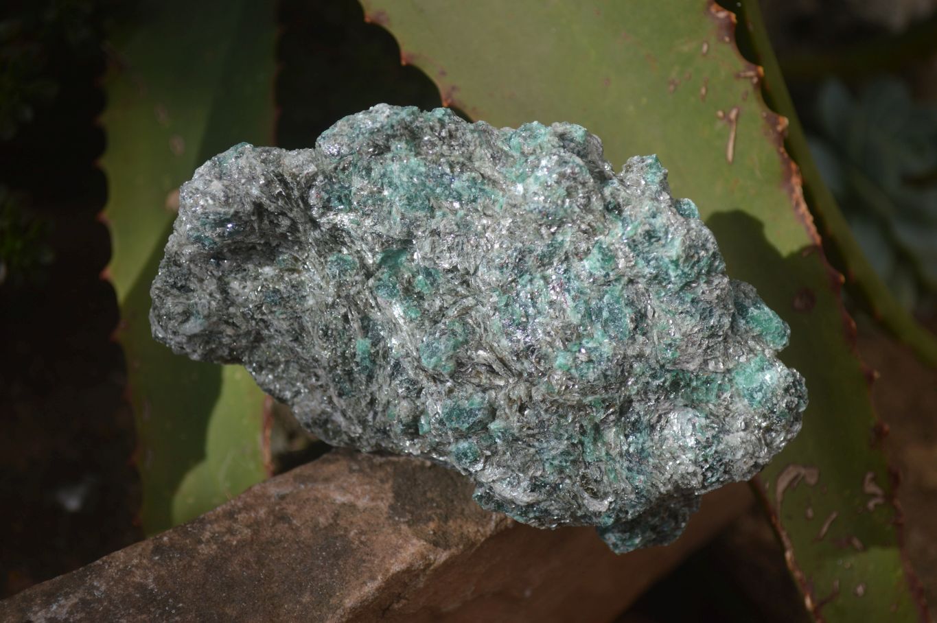 Natural Rare Emerald Mica In Matrix Cobbed Specimens x 6 From Mutoko, Zimbabwe - Toprock Gemstones and Minerals 