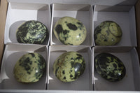 Polished Spotted Leopard Stone Gallets  x 6 From Zimbabwe - Toprock Gemstones and Minerals 