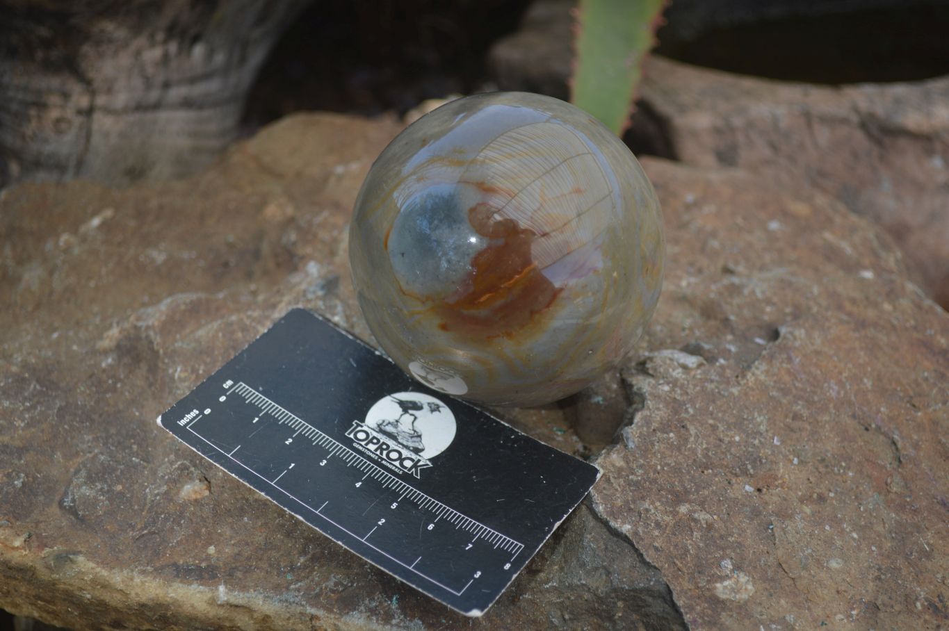 Polished Polychrome / Picasso Jasper Spheres  x 3 From Madagascar - Toprock Gemstones and Minerals 