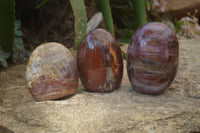 Polished Red Podocarpus Petrified Wood Standing Free Forms x 3 From Mahajanga, Madagascar - Toprock Gemstones and Minerals 
