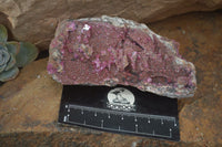 Natural Pink Salrose Cobaltion Dolomite Specimens x 6 From Kakanda, Congo - Toprock Gemstones and Minerals 