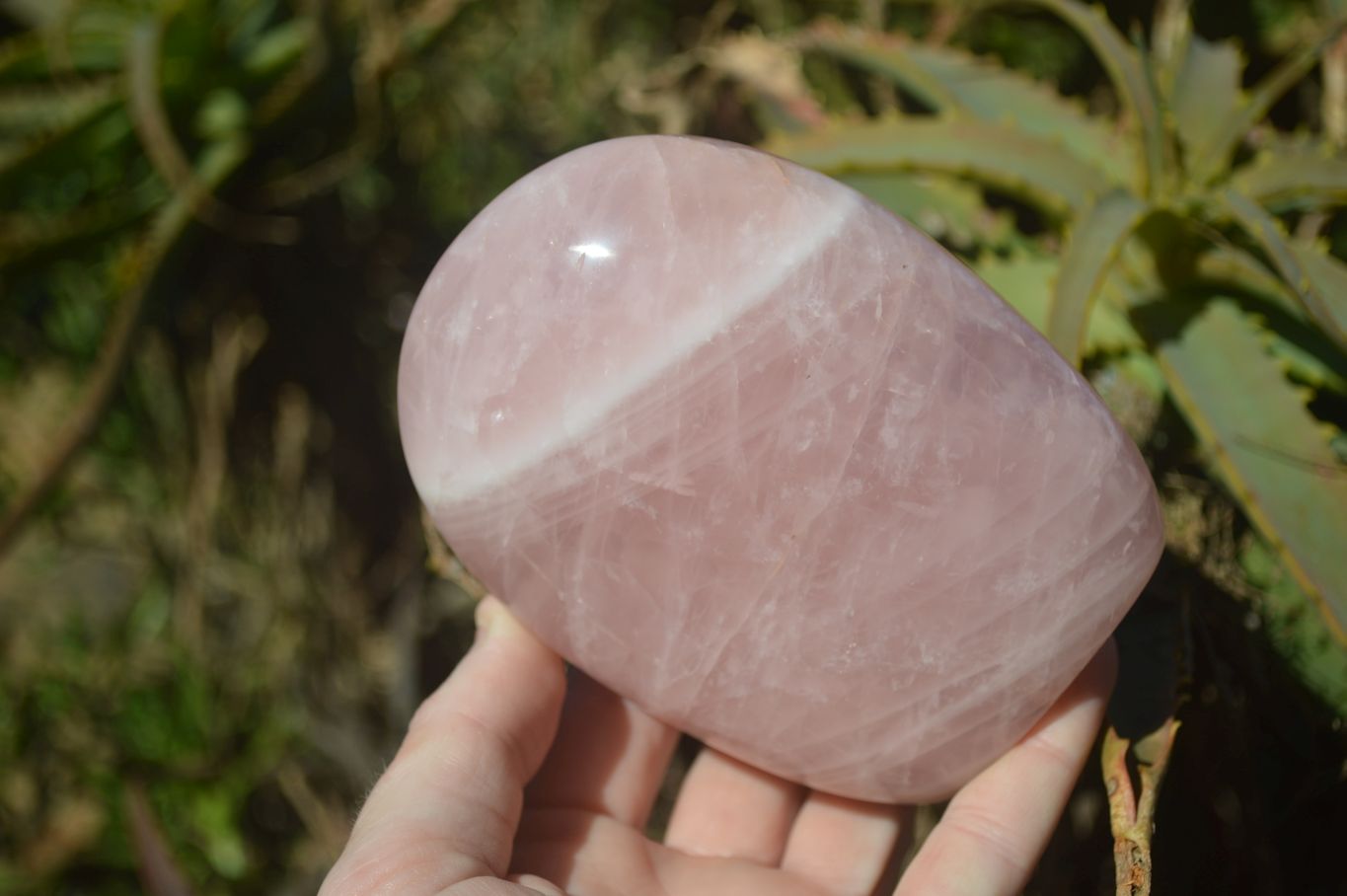 Polished Pink Rose Quartz Standing Free Forms x 2 From Antsirabe, Madagascar - Toprock Gemstones and Minerals 
