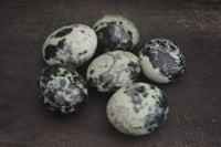 Polished Spotted Leopard Stone Gallets  x 6 From Zimbabwe - Toprock Gemstones and Minerals 