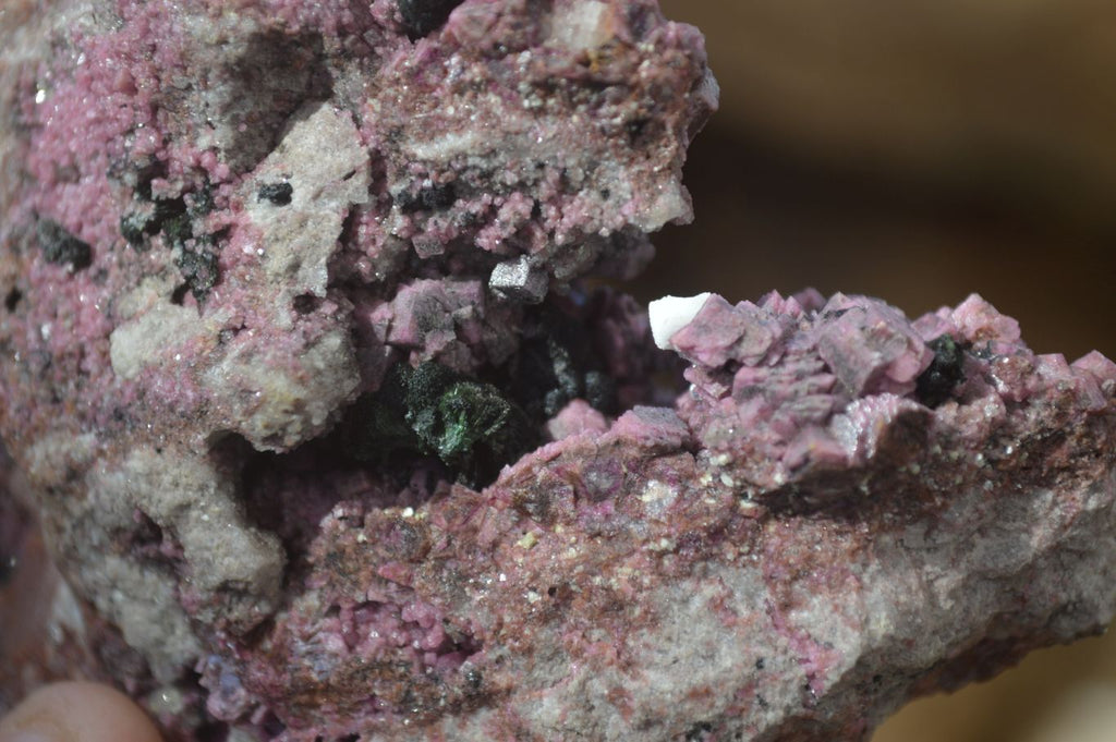 Natural Pink Salrose Cobaltion Dolomite Specimens  x 6 From Kakanda, Congo - Toprock Gemstones and Minerals 