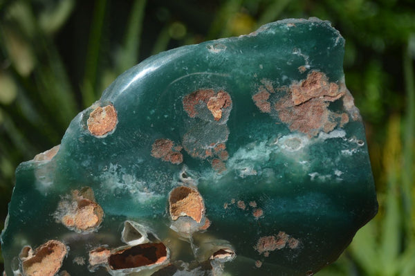 Polished Green Mtorolite / Chrome Chrysoprase Plates  x 2 From Zimbabwe - Toprock Gemstones and Minerals 