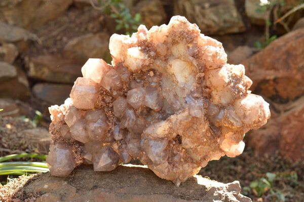Natural XXL Red Hematite Quartz Cluster  x 1 From Karoi, Zimbabwe - TopRock