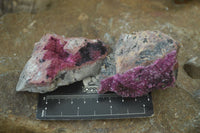 Natural Salrose Cobaltion Dolomite Specimens x 12 From Kakanda, Congo - Toprock Gemstones and Minerals 