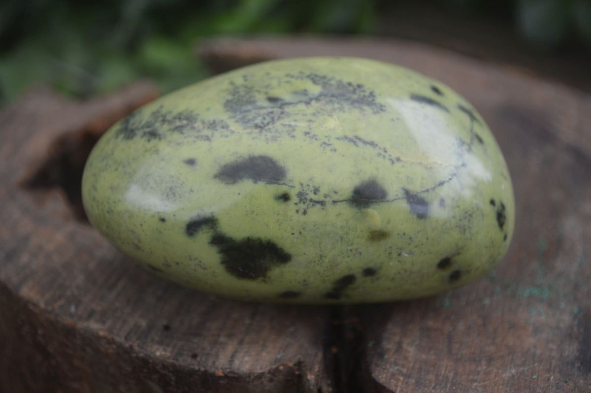 Polished Spotted Leopard Stone Gallets  x 12 From Nyanga & Shamva, Zimbabwe - Toprock Gemstones and Minerals 