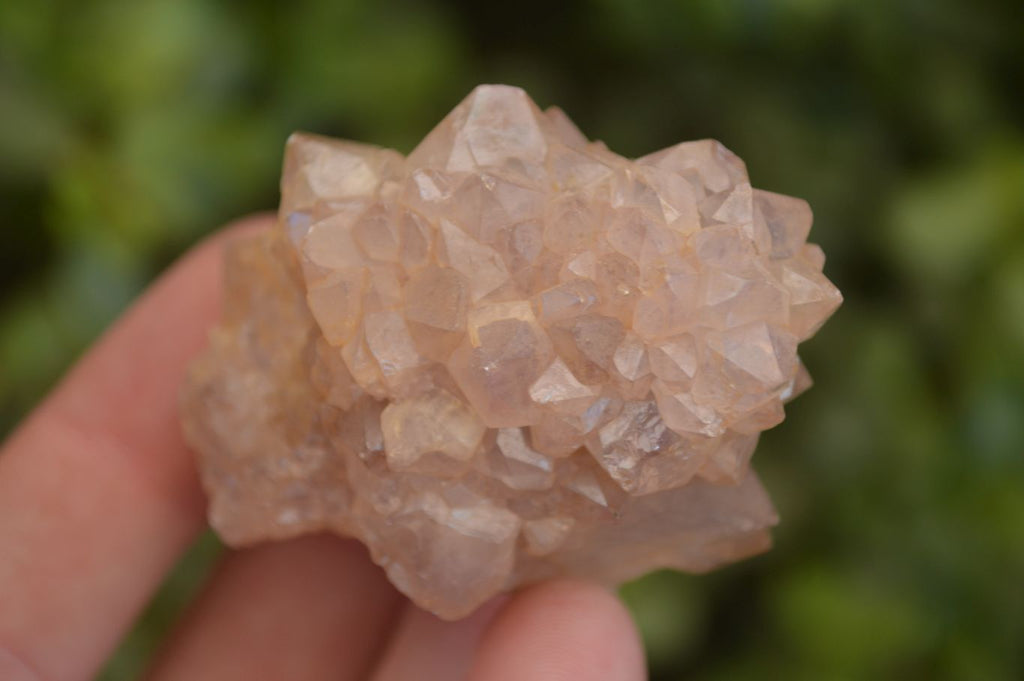 Natural Mixed Spirit Quartz Crystal Specimens x 24 From Boekenhouthoek, South Africa - Toprock Gemstones and Minerals 
