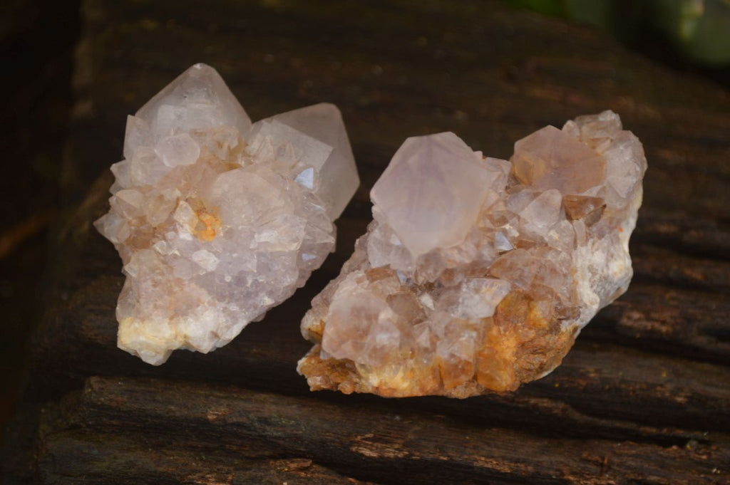 Natural Mixed Spirit Quartz Crystal Specimens x 24 From Boekenhouthoek, South Africa - Toprock Gemstones and Minerals 