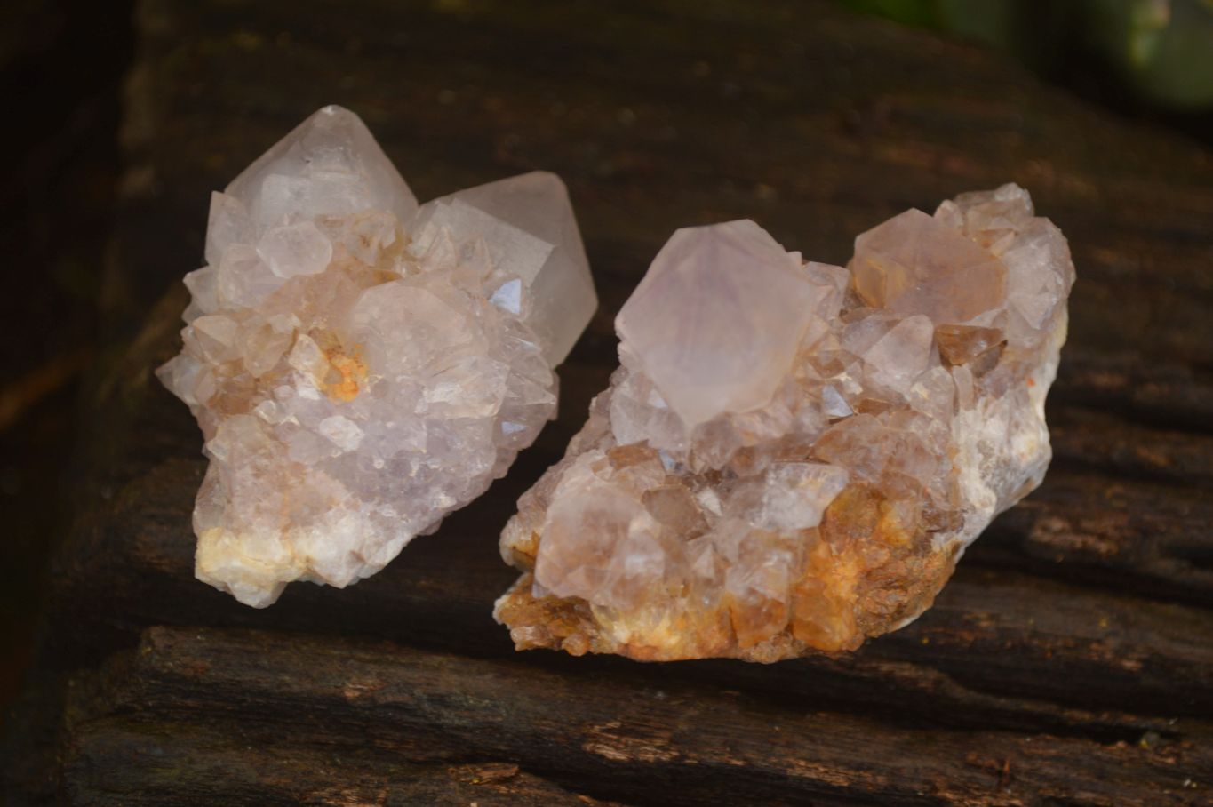 Natural Mixed Spirit Quartz Crystal Specimens x 24 From Boekenhouthoek, South Africa - Toprock Gemstones and Minerals 