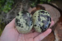 Polished Spotted Leopard Stone Gallets  x 6 From Zimbabwe - Toprock Gemstones and Minerals 