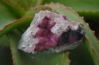 Natural Salrose Cobaltion Dolomite Specimens x 12 From Kakanda, Congo - Toprock Gemstones and Minerals 