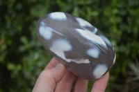 Polished Mixed Agate Standing Free Forms  x 6 From Madagascar