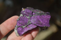 Natural Metallic Purpurite Cobbed Specimens x 12 From Erongo, Namibia - Toprock Gemstones and Minerals 