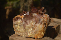 Natural Red Hematoid Phantom Quartz Specimens x 2 From Karoi, Zimbabwe - Toprock Gemstones and Minerals 