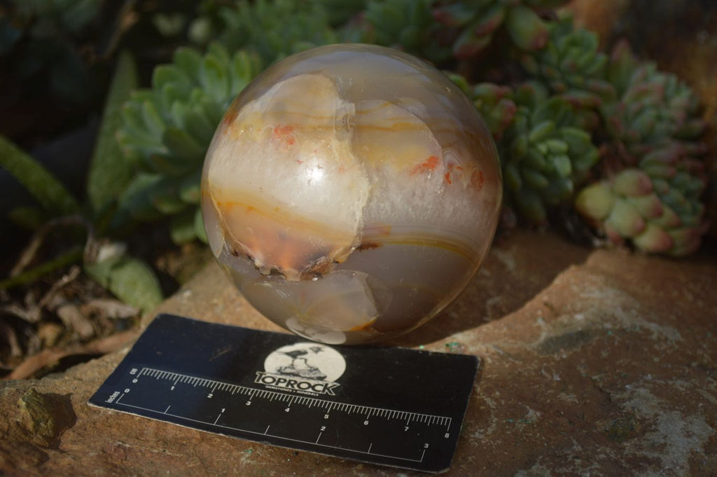 Polished Agate Spheres x 3 From Madagascar - Toprock Gemstones and Minerals 