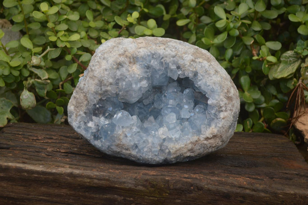 Natural Blue Celestite Geode Specimen  x 1 From Sakoany, Madagascar - Toprock Gemstones and Minerals 