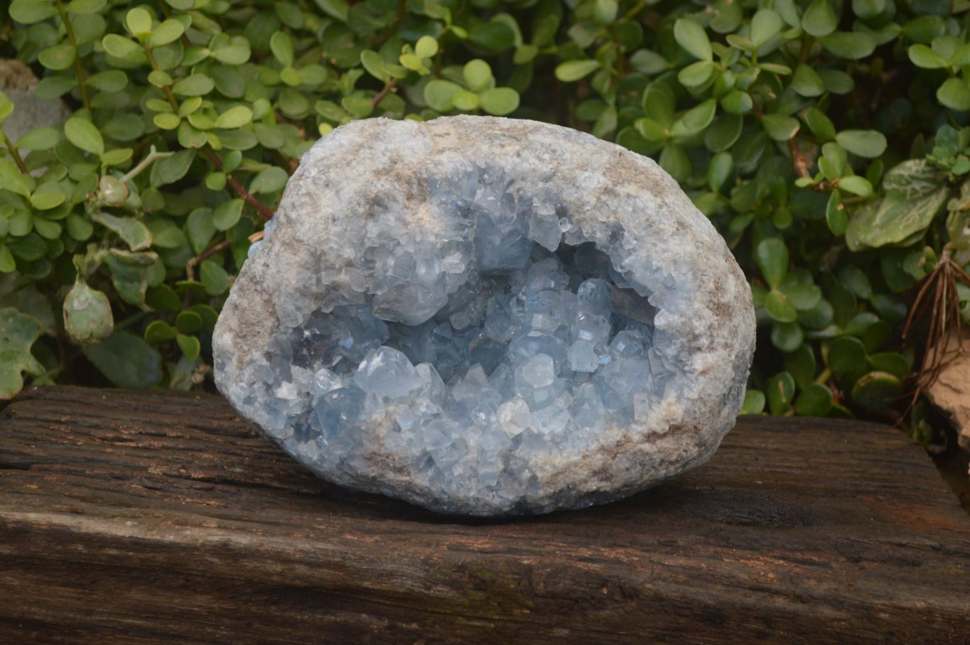 Natural Blue Celestite Geode Specimen  x 1 From Sakoany, Madagascar - Toprock Gemstones and Minerals 