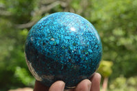 Natural Chrysocolla Conglomerate Sphere x 1 From Congo - TopRock
