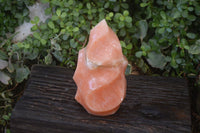 Polished Extra Large Orange Twist Calcite Flame  x 1 From Madagascar - Toprock Gemstones and Minerals 