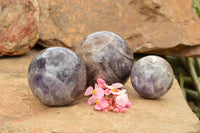 Polished Dream Amethyst Spheres  x 3 From Madagascar - TopRock