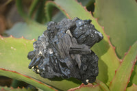 Natural Schorl Black Tourmaline Specimens x 6 From Erongo, Namibia - Toprock Gemstones and Minerals 
