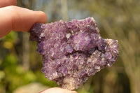 Natural Small Dark "Amethystos" Amethyst Clusters x 35 From Kwaggafontein, South Africa - TopRock
